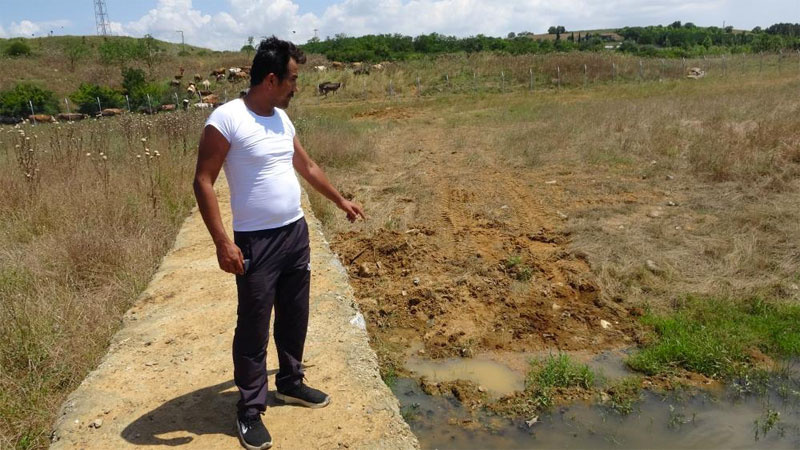 Ömerli Barajındaki ölü balıklar İSKİ ekiplerince iş makineleriyle barajın etrafına gömüldü