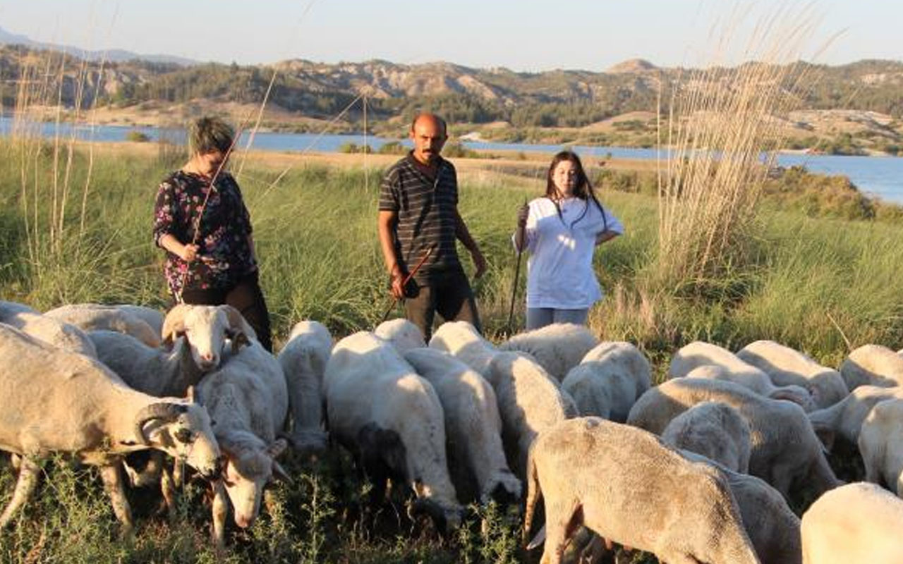 Denizli'de Birleşmiş Milletler gibi aile! Çobanlık yapan baba ve iki kızının hikayeleri çok farklı