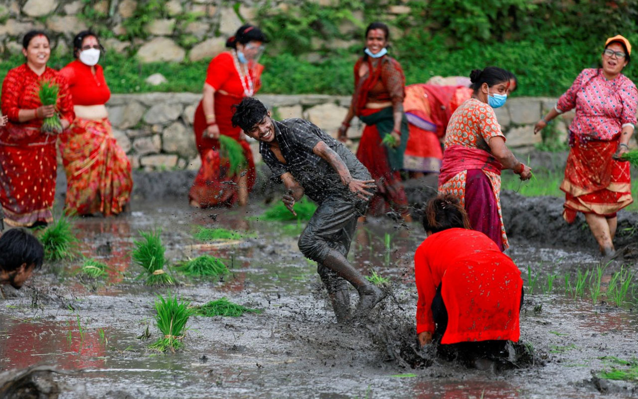 Nepal'de Ulusal Çeltik Günü kutlamaları: Birbirlerini çamura buladılar