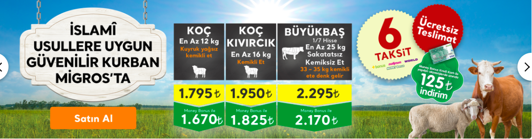 Migros küçükbaş kurbanlık fiyatı koç/koyun kaç para?