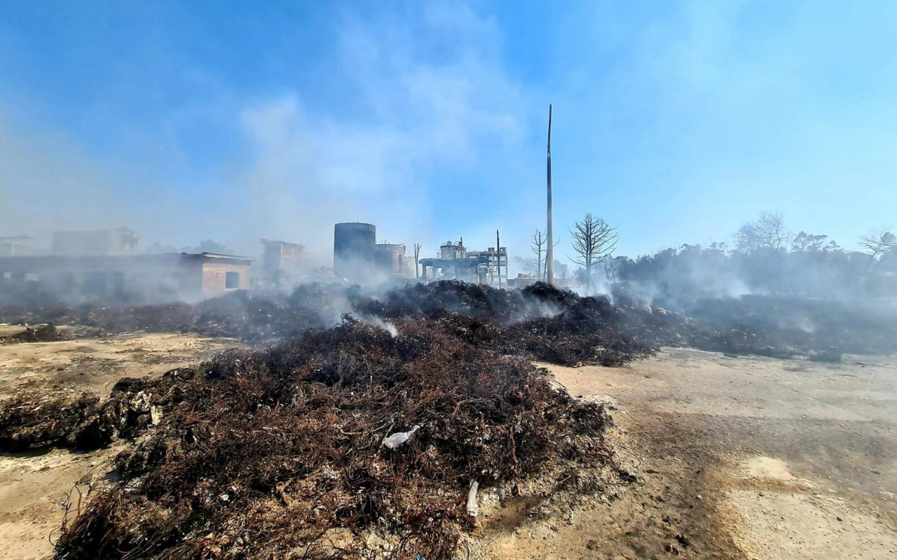 Muğla'da fabrika yangını ormanlık alana sıçradı! Rekor ceza kesildi