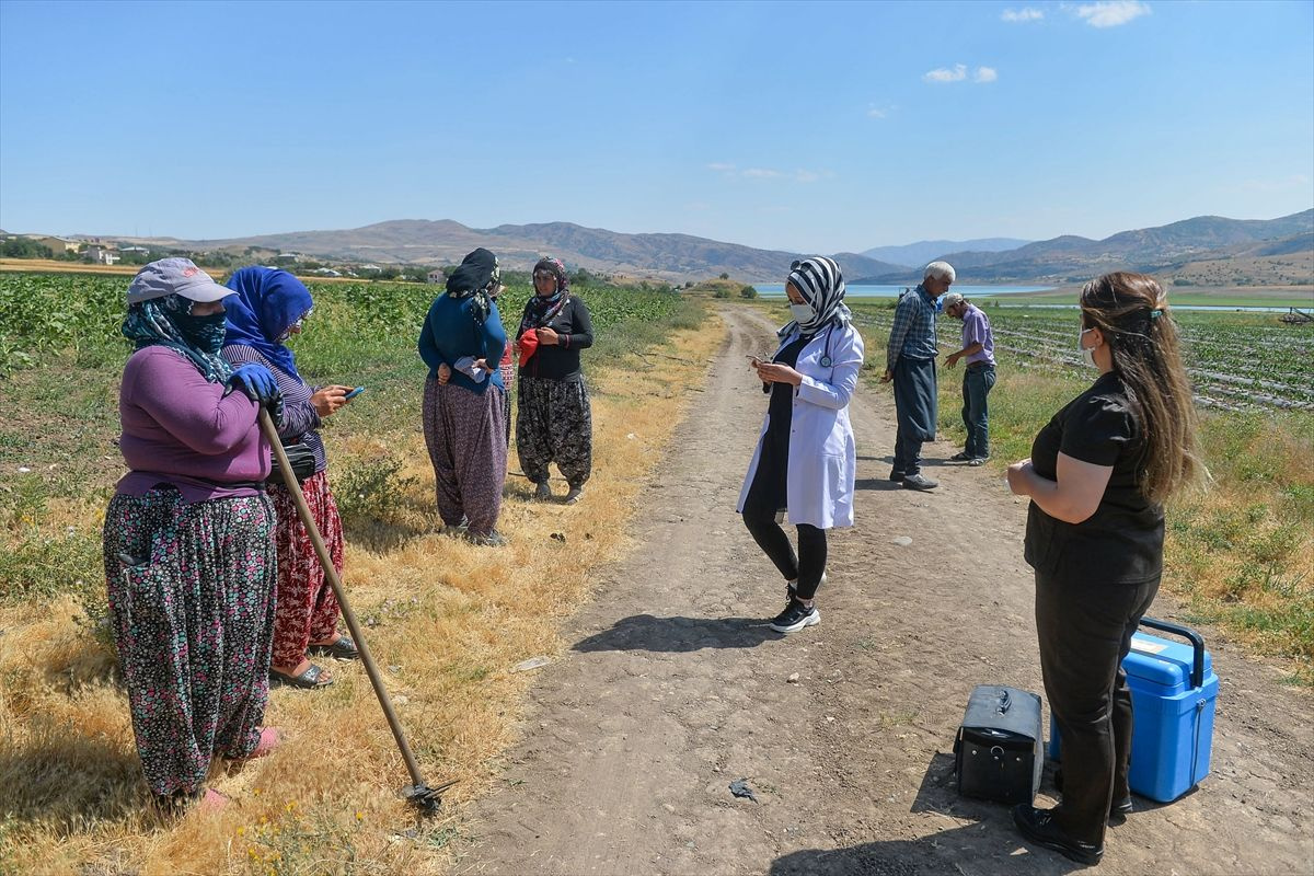Sıcak uzak demediler! Tunceli'de mevsimlik işçiler aşıya gidemeyince sağlık ekipleri tarlaya indi