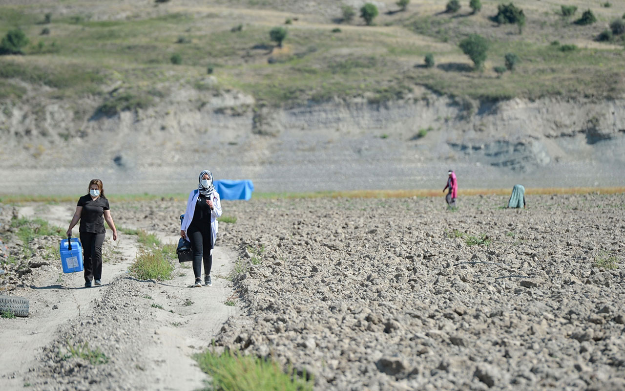 Sıcak uzak demediler! Tunceli'de mevsimlik işçiler aşıya gidemeyince sağlık ekipleri tarlaya indi