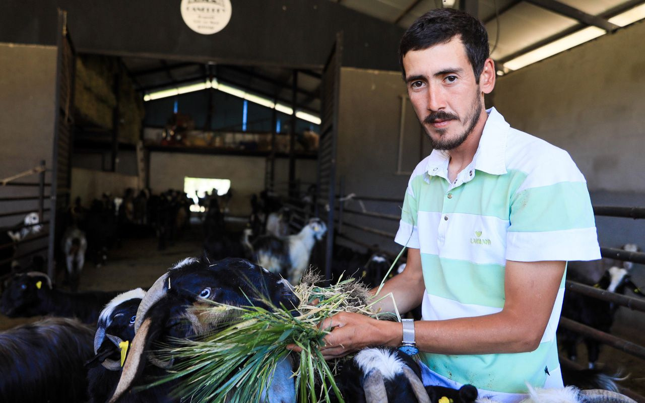20 keçiyle başladı sayıları arttı! İşini bıraktı Antalya'da üretiyor fiyatına rağmen yok satıyor