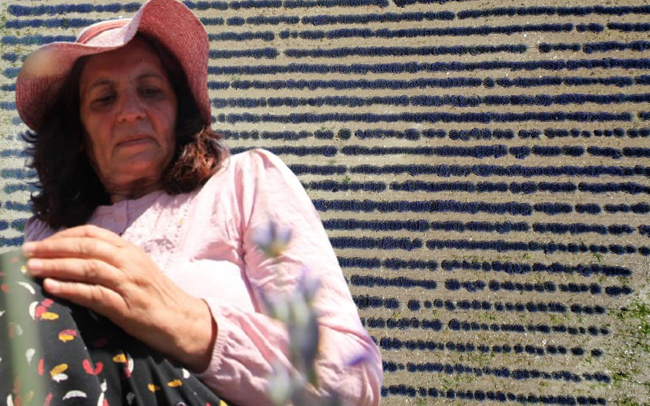 Kızı teşvik etti emekli öğretmenin çocukluk hayali gerçek oldu! Tunceli'de gelir elde ediyor