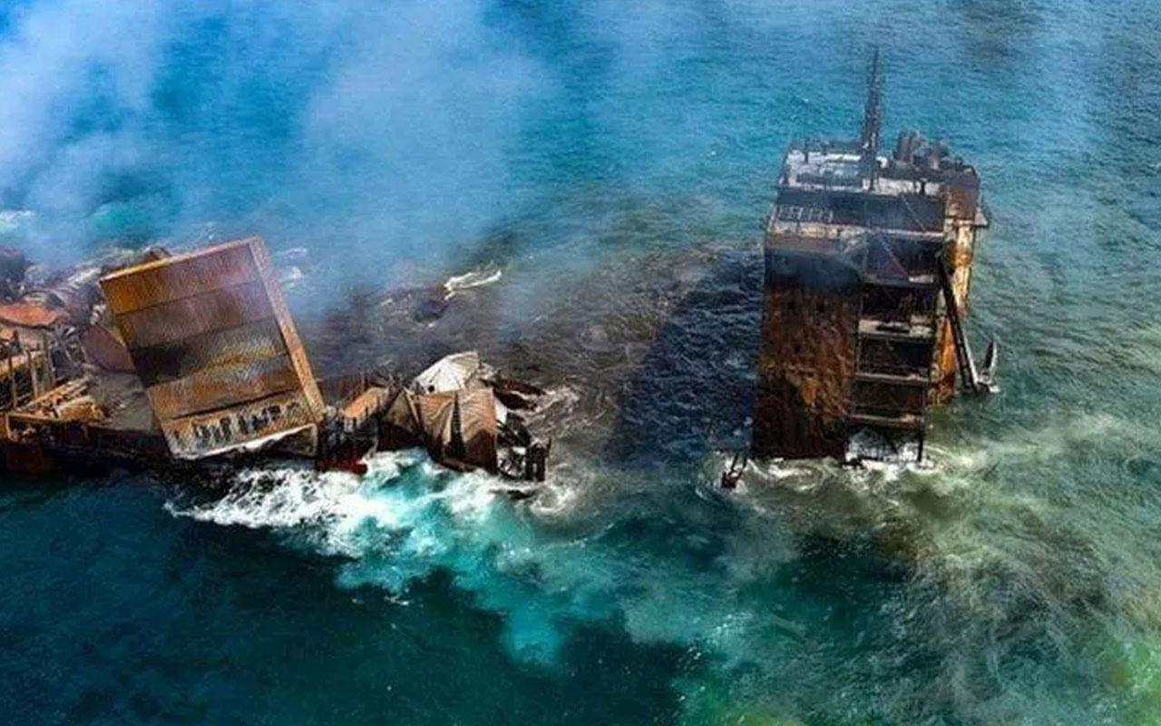Kimyasal madde yüklü gemi battı, ölü hayvanlar kıyıya vurdu