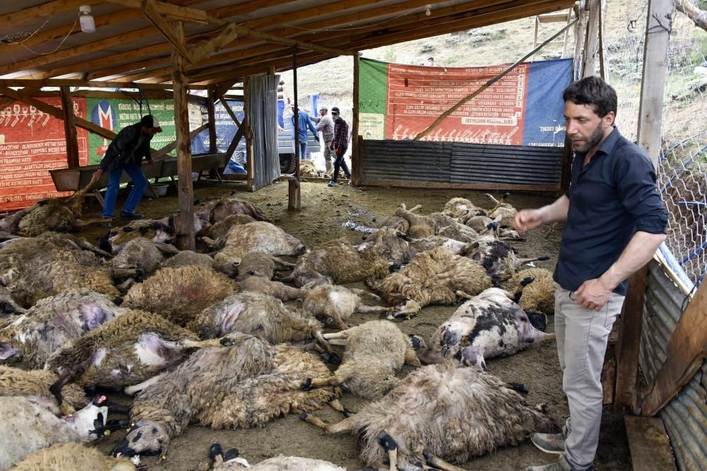 Toprağı kazıp ahıra girdiler! Gümüşhane'de manzarayı görünce şoku yaşadı