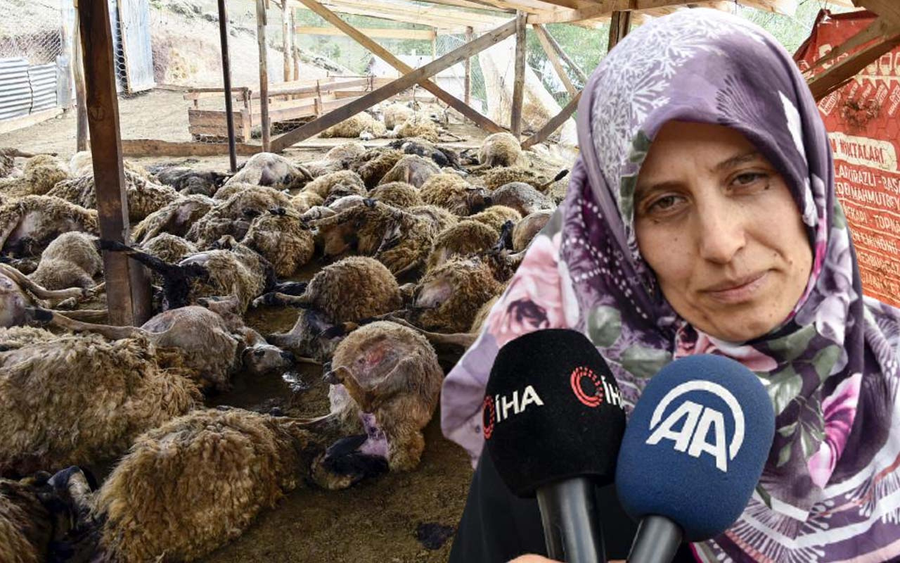 Toprağı kazıp ahıra girdiler! Gümüşhane'de manzarayı görünce şoku yaşadı