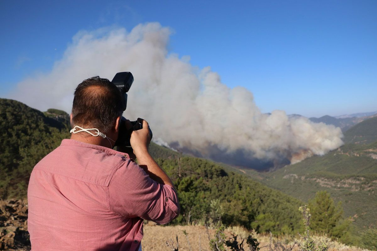 Mersin ve Hatay'daki orman yangınları kontrol altına alındı! Bakan Pakdemirli: 4 gözaltı var