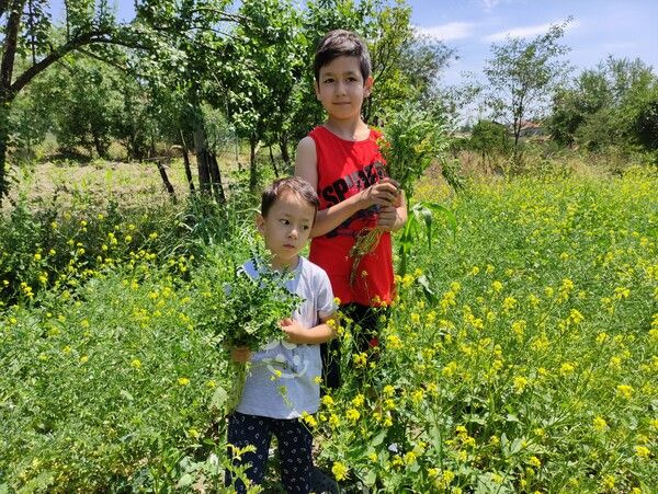 Bursa'da tabelayı görenler şaşkına döndü! Yazıyı okuyanlar soluğu tarlada aldı