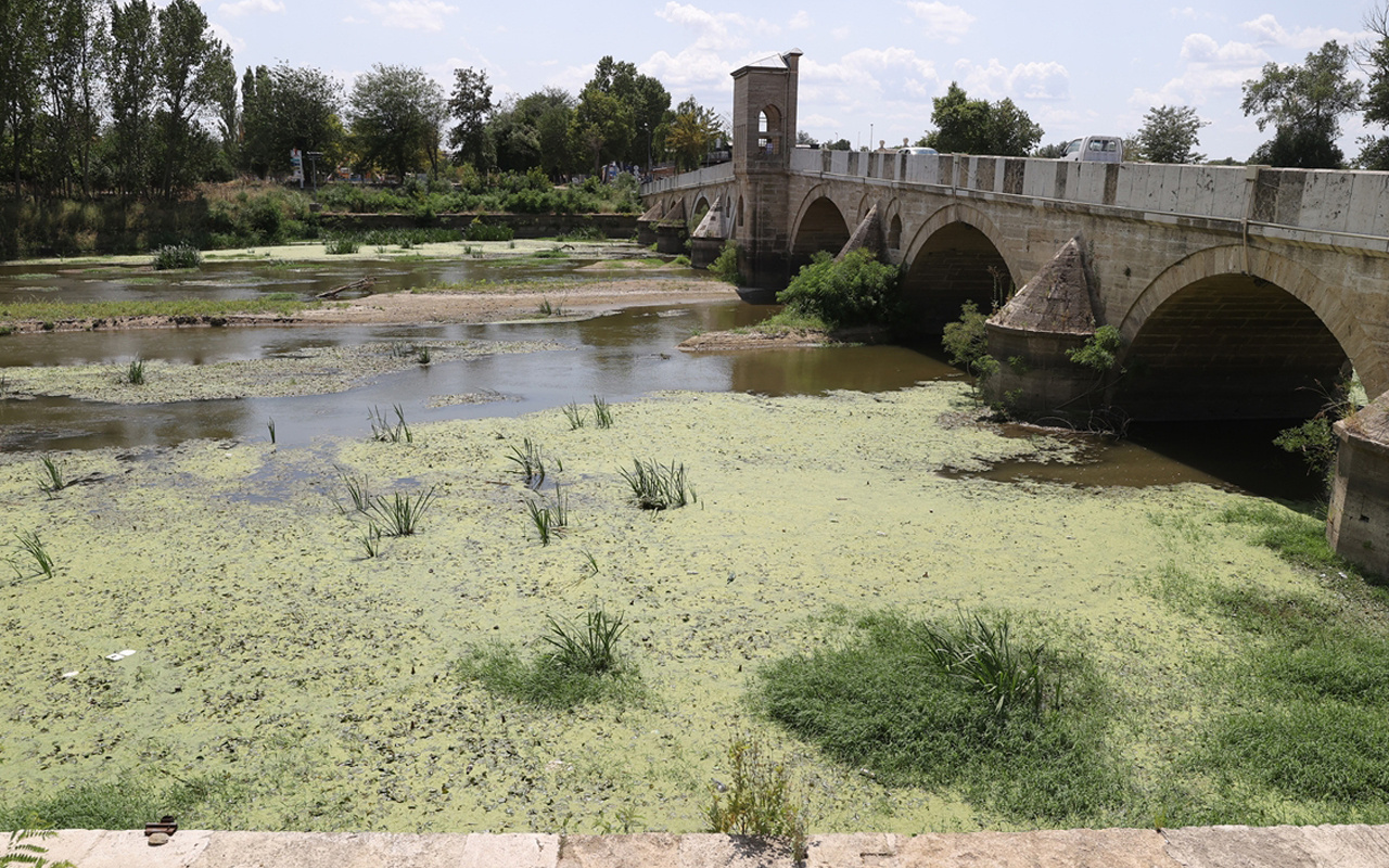 Edirne'de su seviyesi düşen nehirlerde adacıklar oluştu, yosunlar yüzeye çıktı