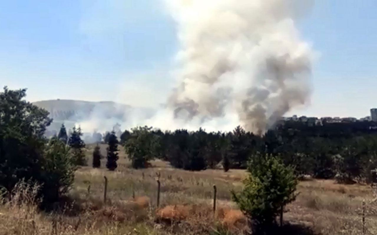 Ankara'da Atatürk Orman Çiftliği arazisinde yangın 1 kişi gözaltına alındı