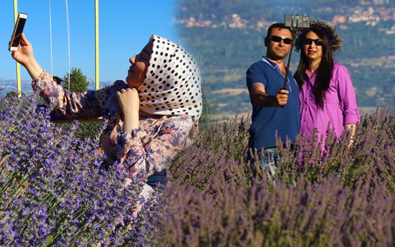 Isparta'da gören fotoğrafını çekiyor! Milyonlarca lira kazandılar: Hedef Fransa'yı geçmek