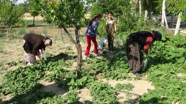 Kütahya'da bahçedeki bu yazıyı görenler şaşkına döndü: Son nefesime kadar...