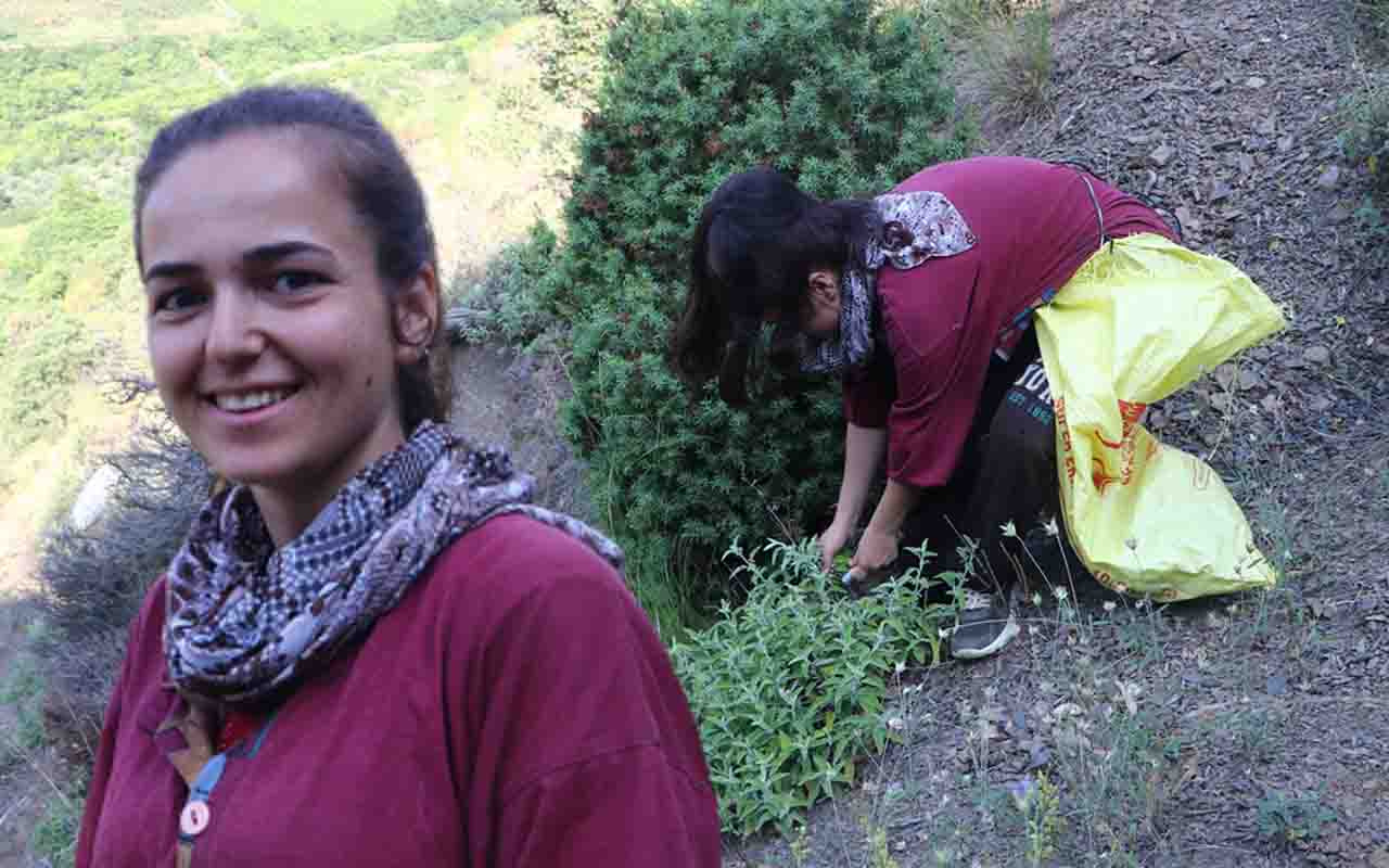 Ganos Dağı'nda 'hazine' yatıyor! Tekirdağ'da üretiliyor 7 ülkeye ihraç ediliyor