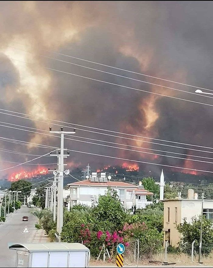Antalya Manavgat yanıyor! 4 mahalle boşaltıldı onlarca kişi dumandan etkilendi