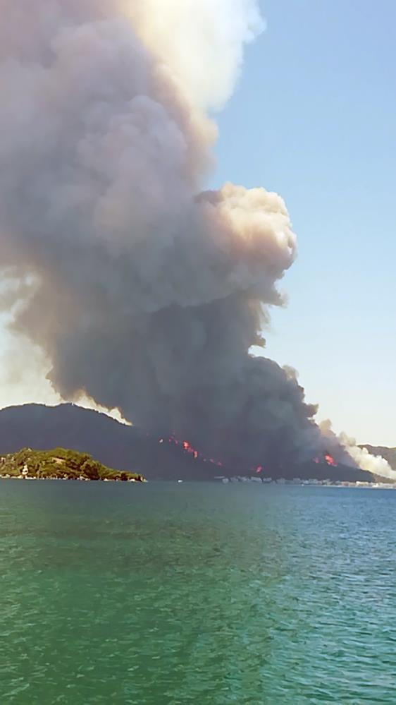 Kocaeli ve Muğla Marmaris'te ormanlık alanda yangın ...