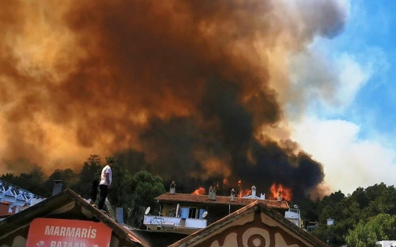 Türkiye'yi saran orman yangınına ünlülerden tepki! Sosyal medyada isyan!
