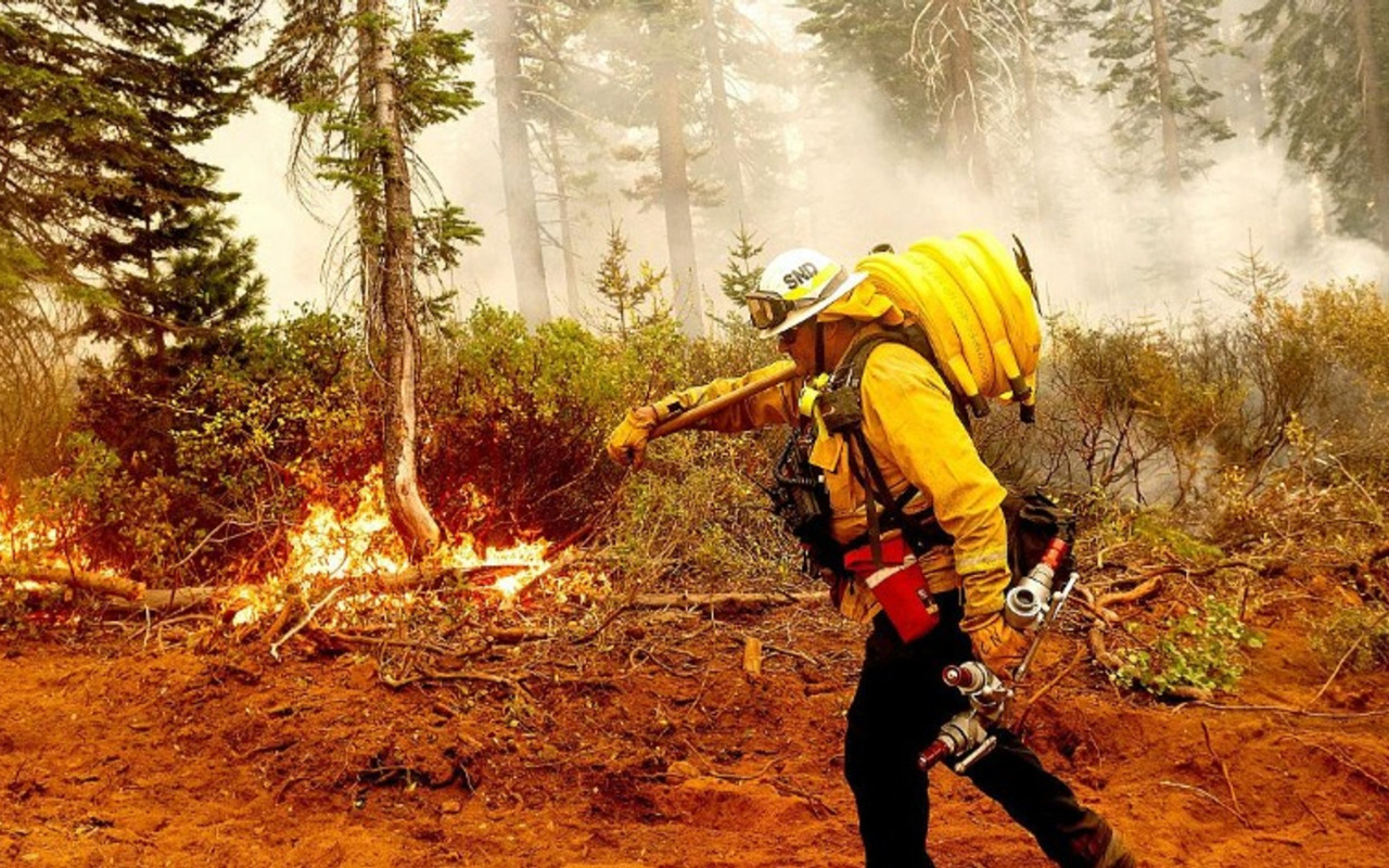 Akdeniz ülkeleri orman yangınlarıyla mücadele ediyor