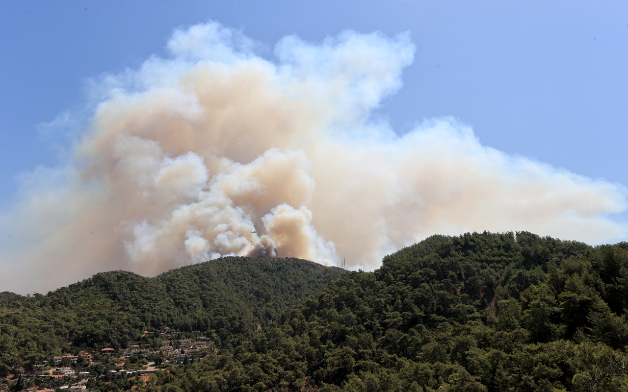 Fransa'dan Türkiye'deki yangınlar için dayanışma mesajı