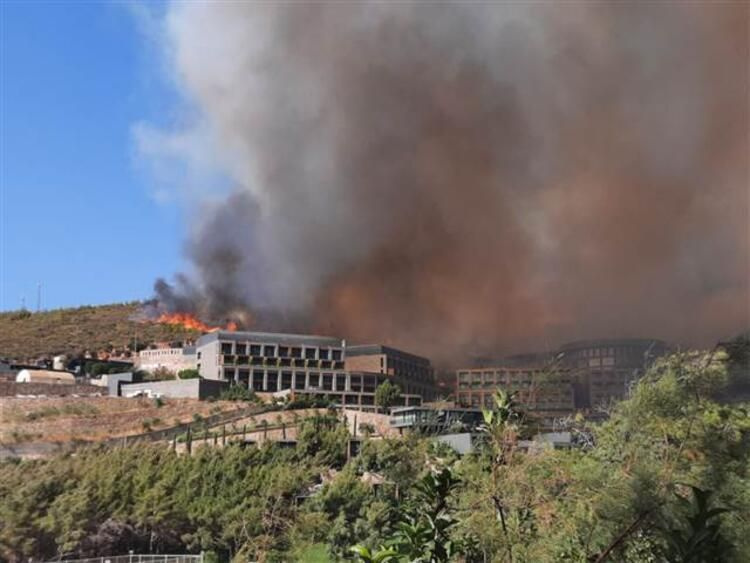 Tarım ve Orman Bakanlığı, orman yangınlarına ilişkin son bilgileri paylaştı