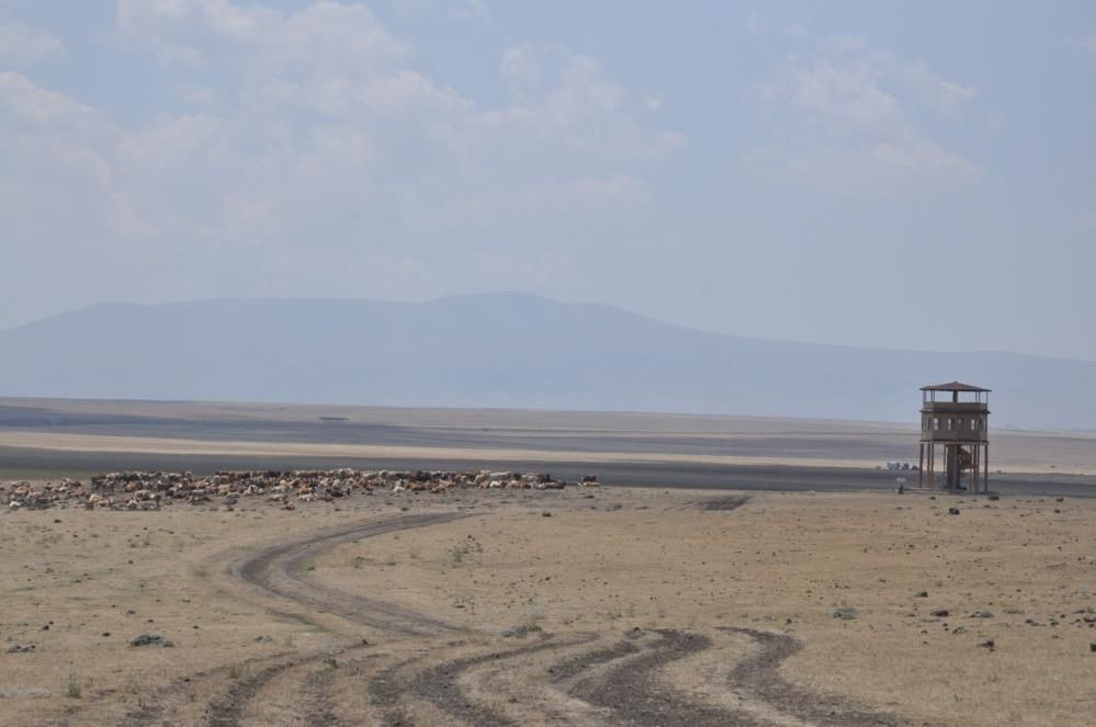 Kars'ta kuş cenneti Kuyucuk Gölü tamamen kurudu! Artık kuş da yok su da