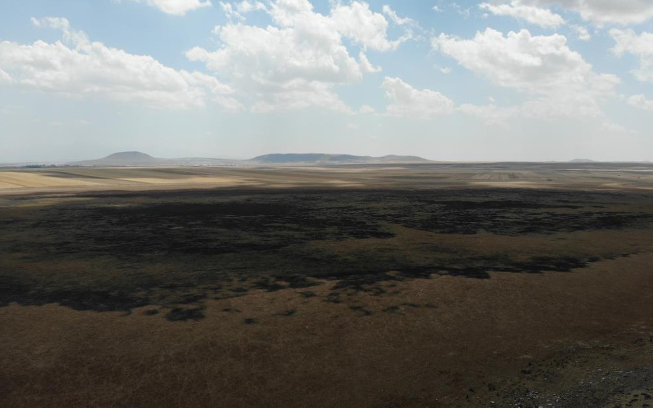 Kars'ta kuş cenneti Kuyucuk Gölü tamamen kurudu! Artık kuş da yok su da