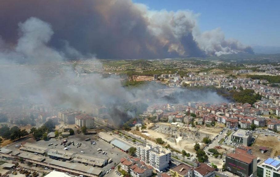 Orman yangınlarından sonra Gülben Ergen'den TEMA'ya 2000 fidan bağışı