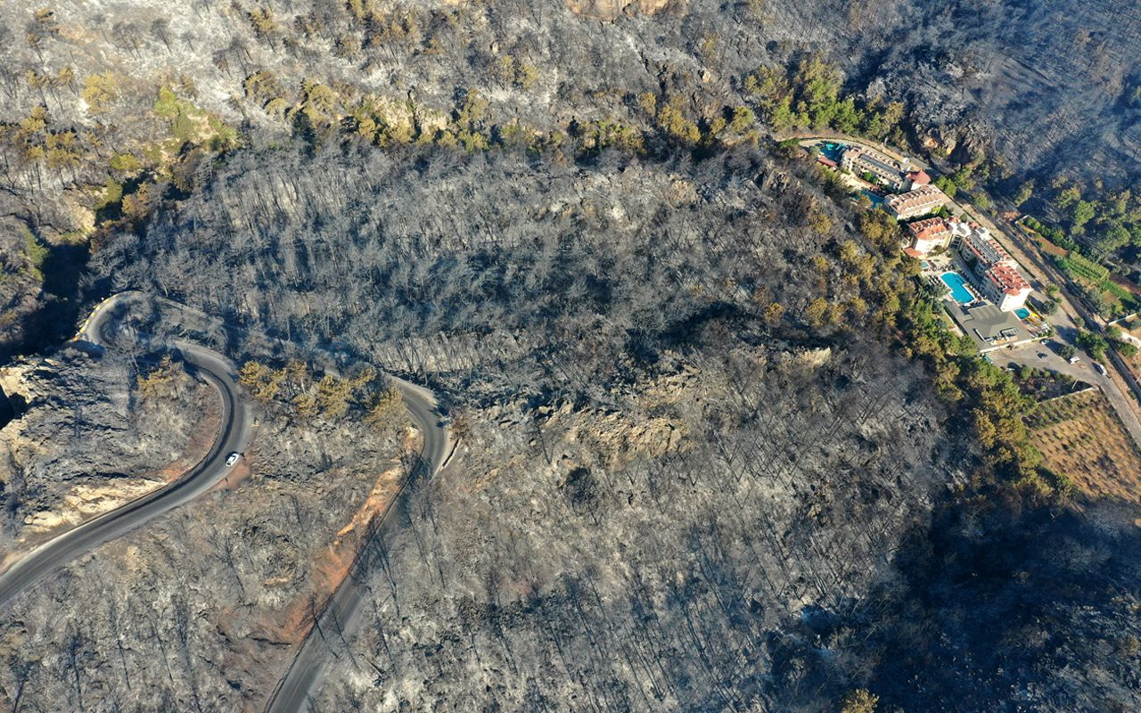 Marmaris'te yangın! Sabah acı görüntü ortaya çıktı: Küle dönen ormanlar görüntülendi