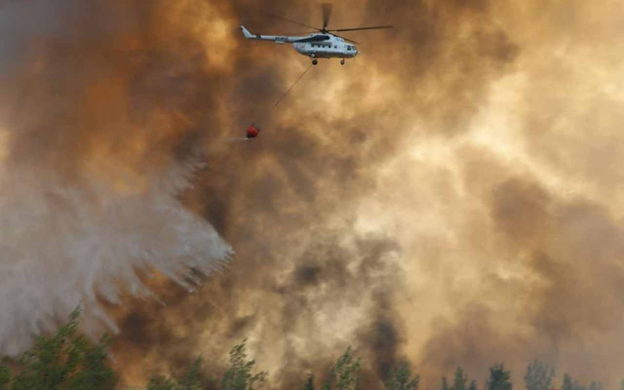 Türkiye'deki orman yangınlarının dumanları AB uydusunda! 'Günün fotoğrafı' diye paylaştılar