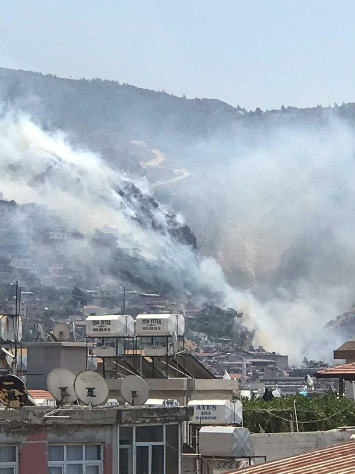 Hatay'da orman yangını çıktı! Yangın bazı evlere sıçradı mahalleler boşaltılıyor