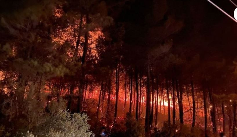 Fethiye yangınında son durum görüntüler korkunç Songül Karlı paylaştı!