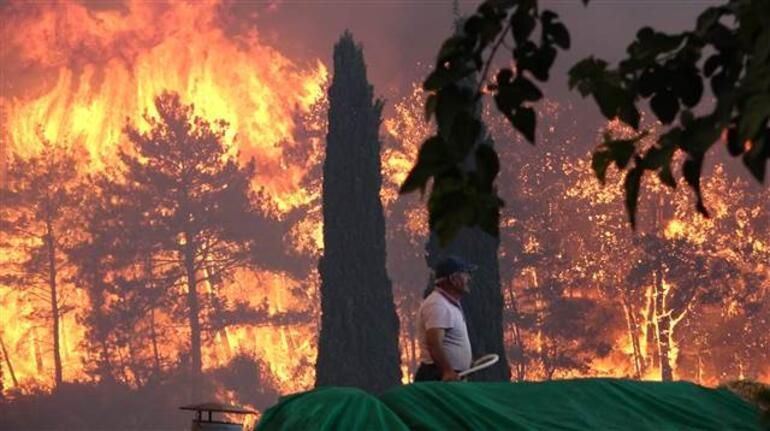 Türkiye'yi saran orman yangınına ünlülerden tepki! Sosyal medyada isyan!