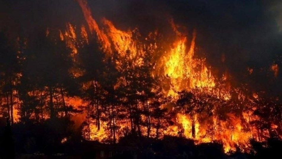 Yangın sonrası yeşillendirme seferberliği başladı! İşte markaların yaptığı yardımlar...