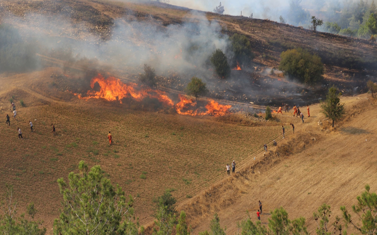 Tokat'ta yangın! 10 dönümlük ekili arazi zarar gördü!