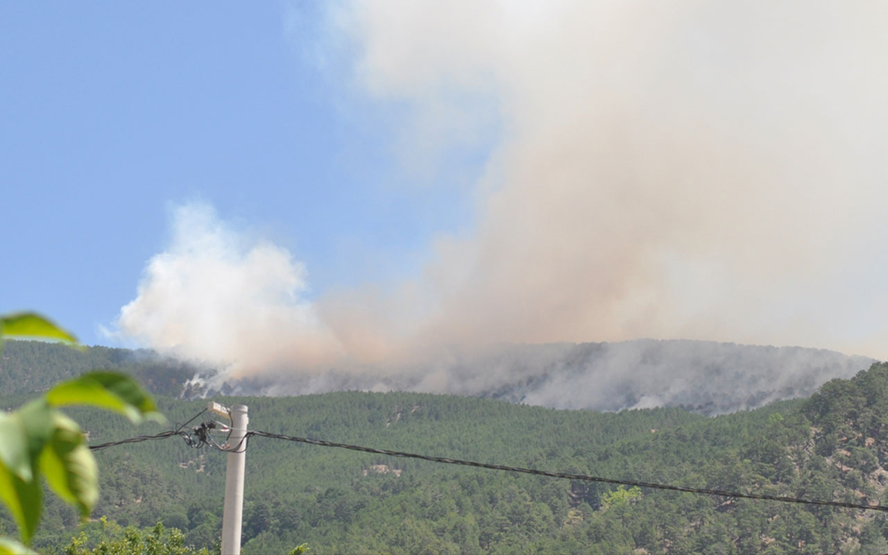 Manavgat Bodrum Milas Marmaris orman yangınlarında son durum Köyceğiz'de iki mahalle boşaltıldı