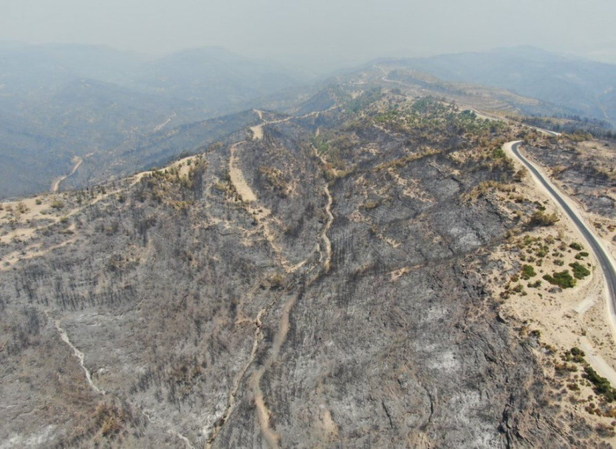Türkiye'deki orman yangınları sürüyor! İşte il il son durum