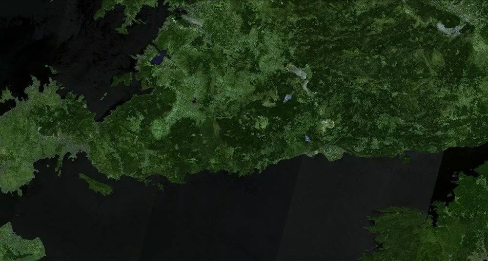 Türkiye'deki orman yangınlarının uydu görüntüsü! Öncesi ve sonrasına bakın