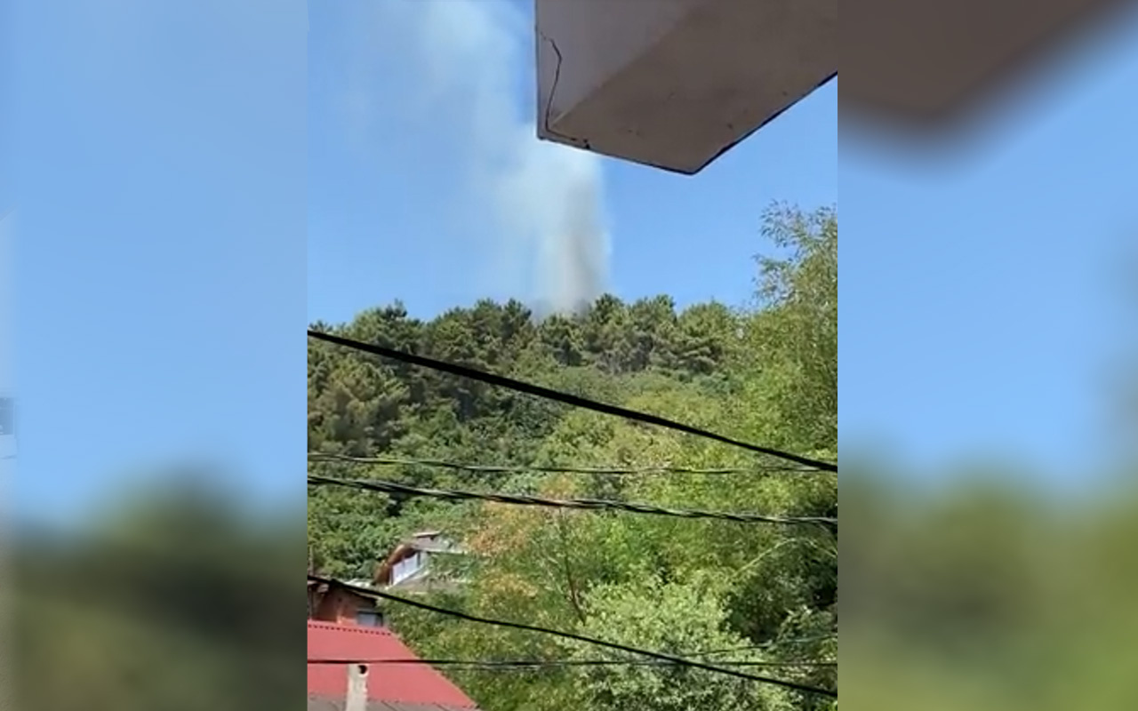 Beykoz'da ormanlık alanda yangın çıktı - Internet Haber