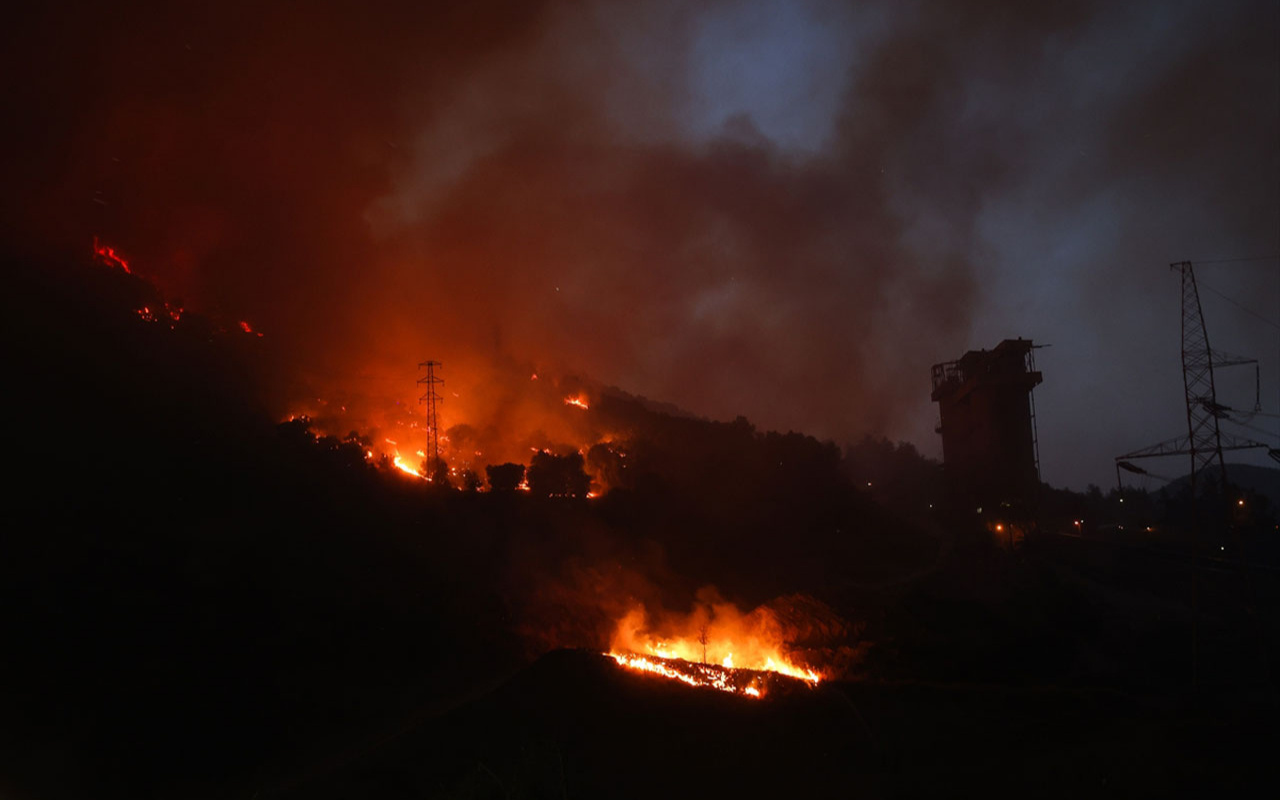 Milas'ta yanan termik santralin sahibine tepki: Haluk Levent gibi helikopter kiralayamadın mı?