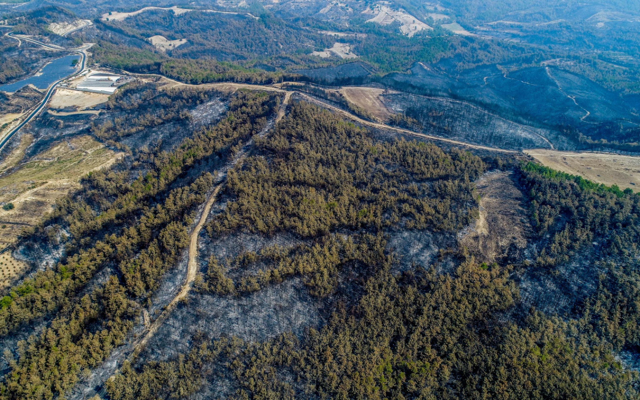 Orman yangınlarına ilişkin çarpıcı sözler: 10 günlük raporları incelemişler