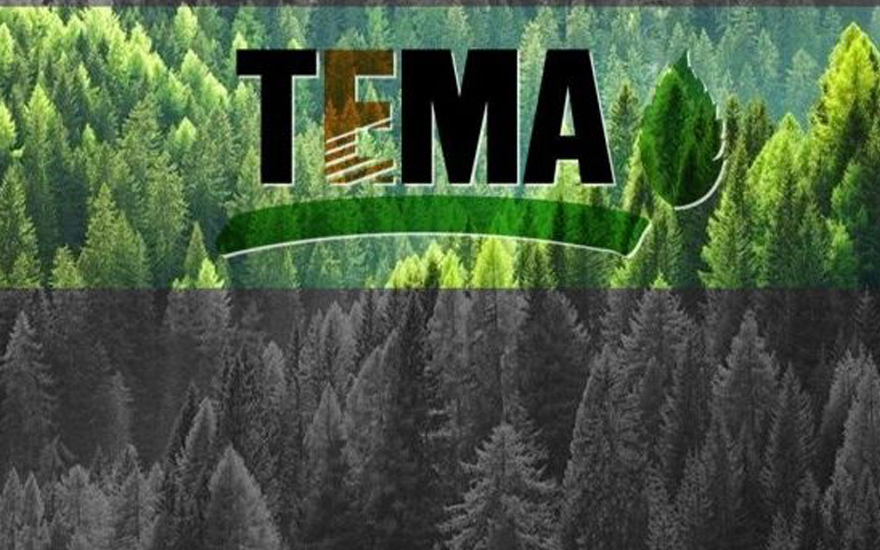 TEMA Cengiz Holding'in bağışını reddetti! Cengiz Holding'ten açıklama geldi