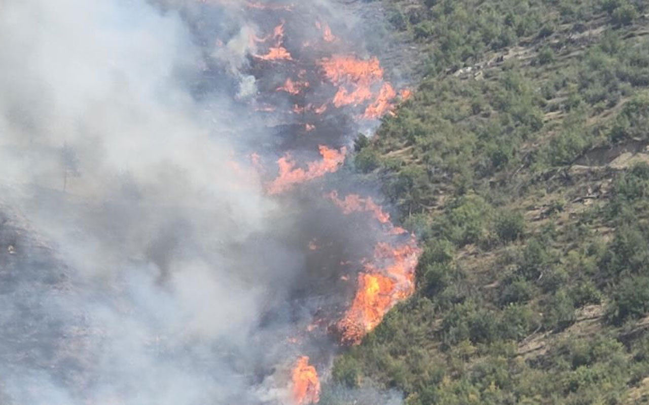 Karabük’te aynı alanda orman yangını çıktı! Alevlere müdahale ediliyor