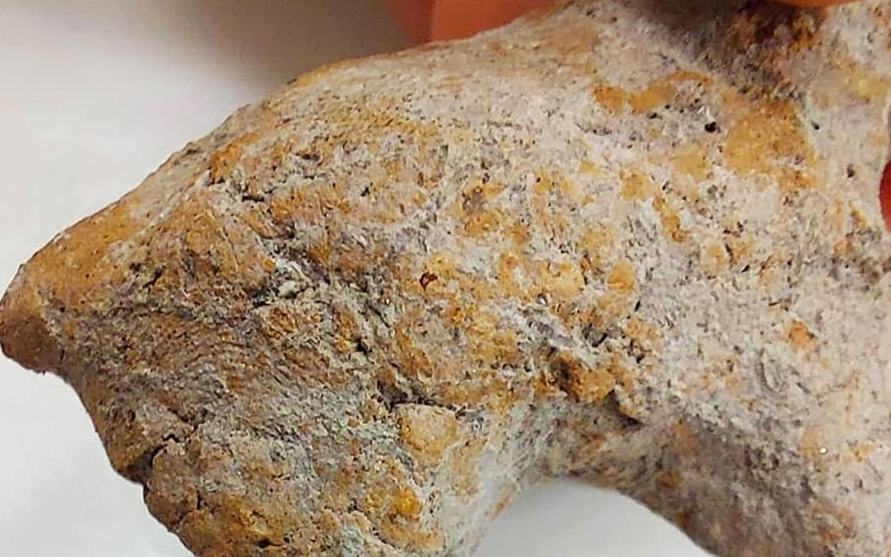 Bilecik'teki kazılarda bulundu 9 bin yıllık parmak izi