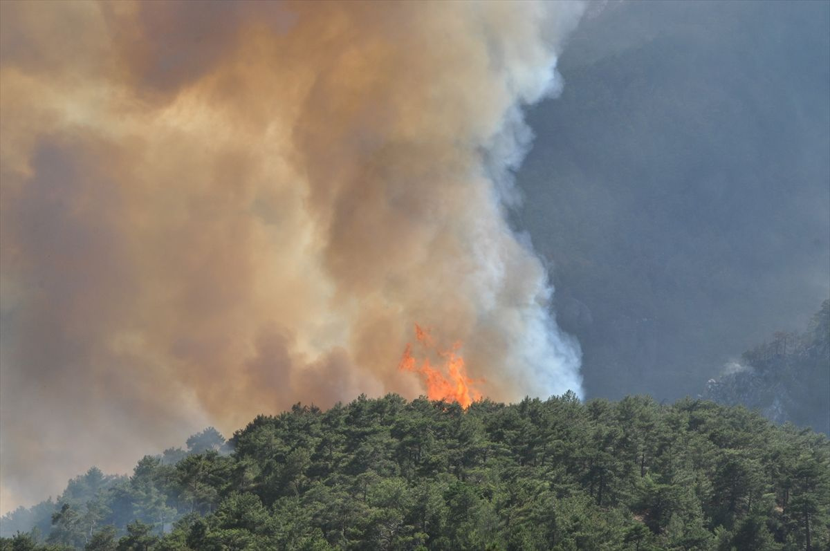 Yangınlarda son durum! Orman Bakanı Bekir Pakdemirli sevindiren haberi verdi