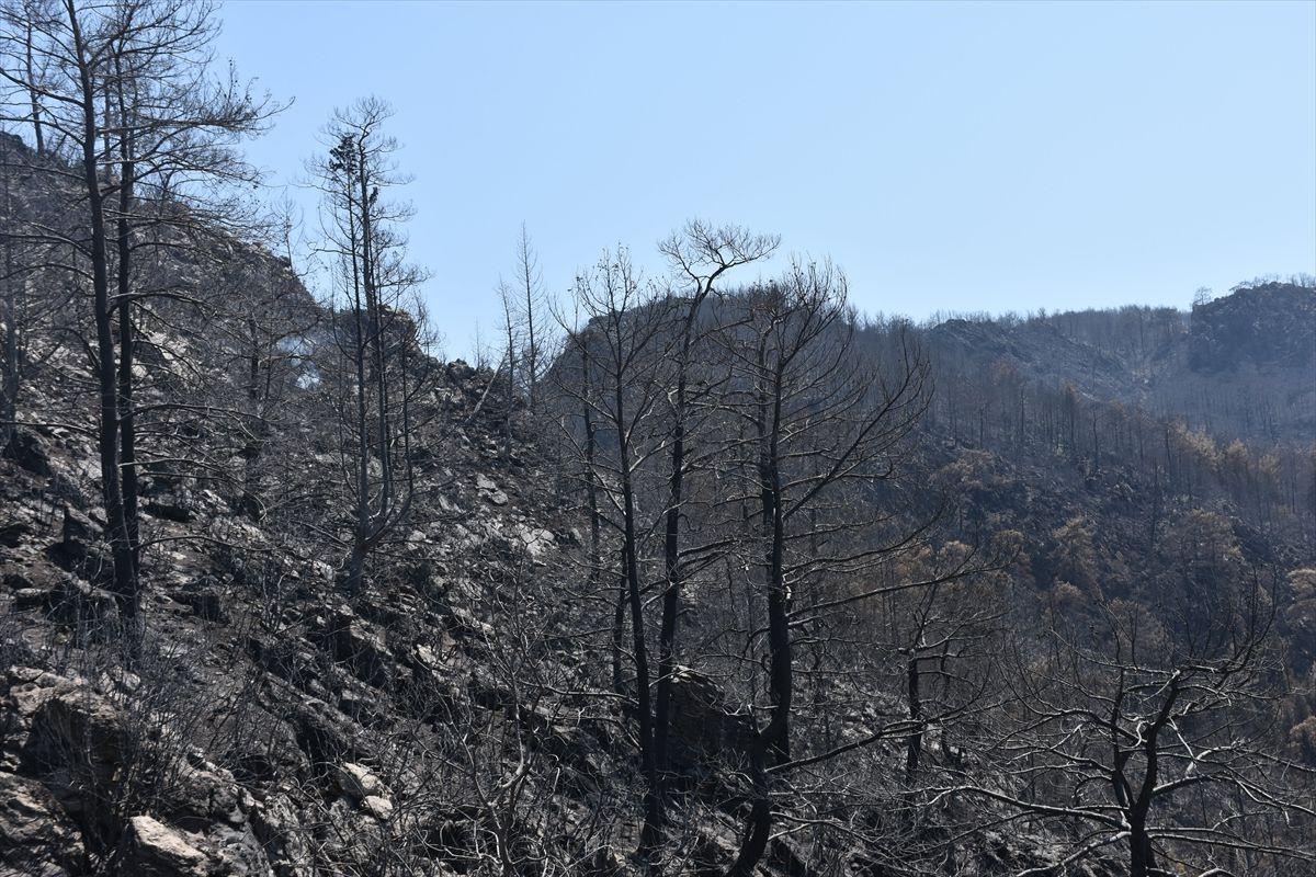 Yangınlarda son durum! Orman Bakanı Bekir Pakdemirli sevindiren haberi verdi