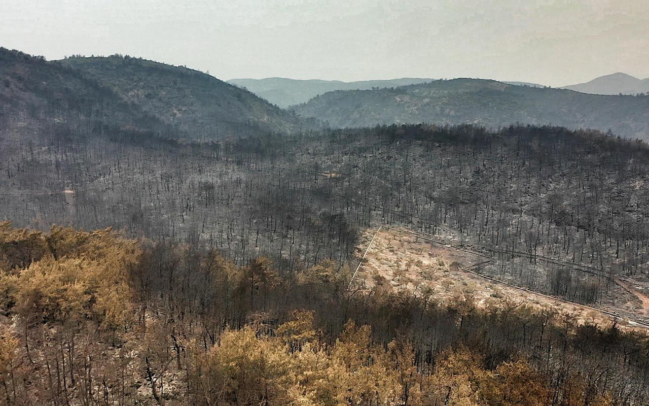 Muğla yangınında Bodrum ve Milas'ın son hali! Küle dönen ormanlar görüntülendi