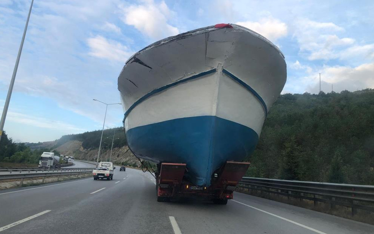 Samsun'da karayolunda şaşırtan anlar! Gören telefona sarıldı