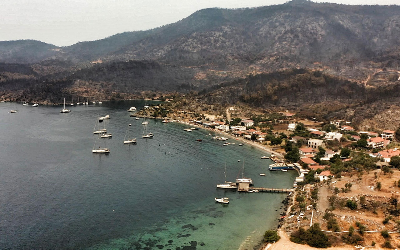 Görenlerin yüreği sızladı! Bodrum ve Milas yangının ardından simsiyah oldu