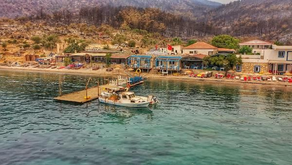 Görenlerin yüreği sızladı! Bodrum ve Milas yangının ardından simsiyah oldu